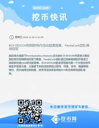 BCH DEVCON阿姆斯特丹活动圆满落幕，PandaCash团队捧得冠军