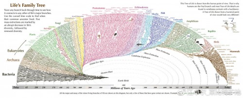 生命进化树