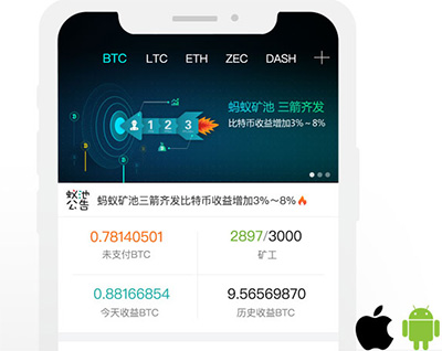 蚂蚁矿池APP