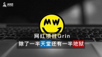 网红项目Grin，除了一半天堂还有一半地狱