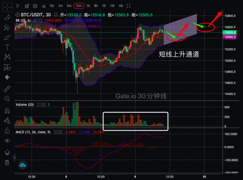 币世界-【合约日报】机构对BTC的推升进入休整期，币圈可能迎来轮动行情