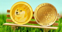 比特币不再是“万众宠儿”？ADA、DOGE 成为最受 eToro 美国用户欢迎的加密货币