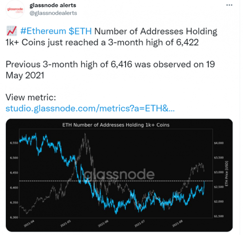 数据：持有超1000枚ETH的巨鲸数量达到5月19日以来新高