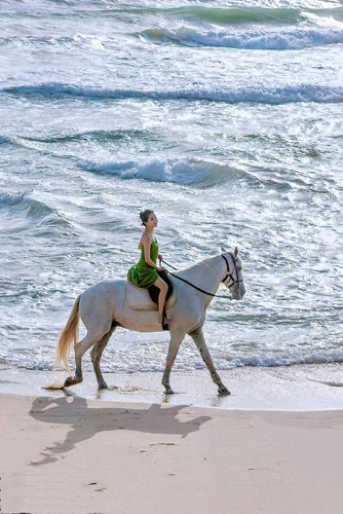 1768263221821704.png image.png