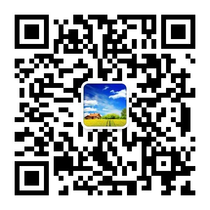 神马D1，DCR市场高度货源来袭