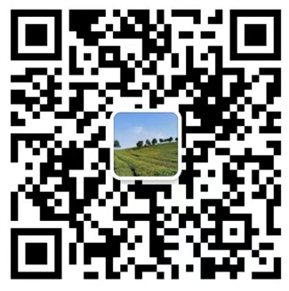 蚂蚁t17e 50t 性价比最高，快速回本