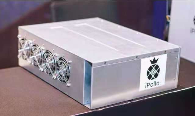 菠萝V1 V2 V3，现货！现货出售