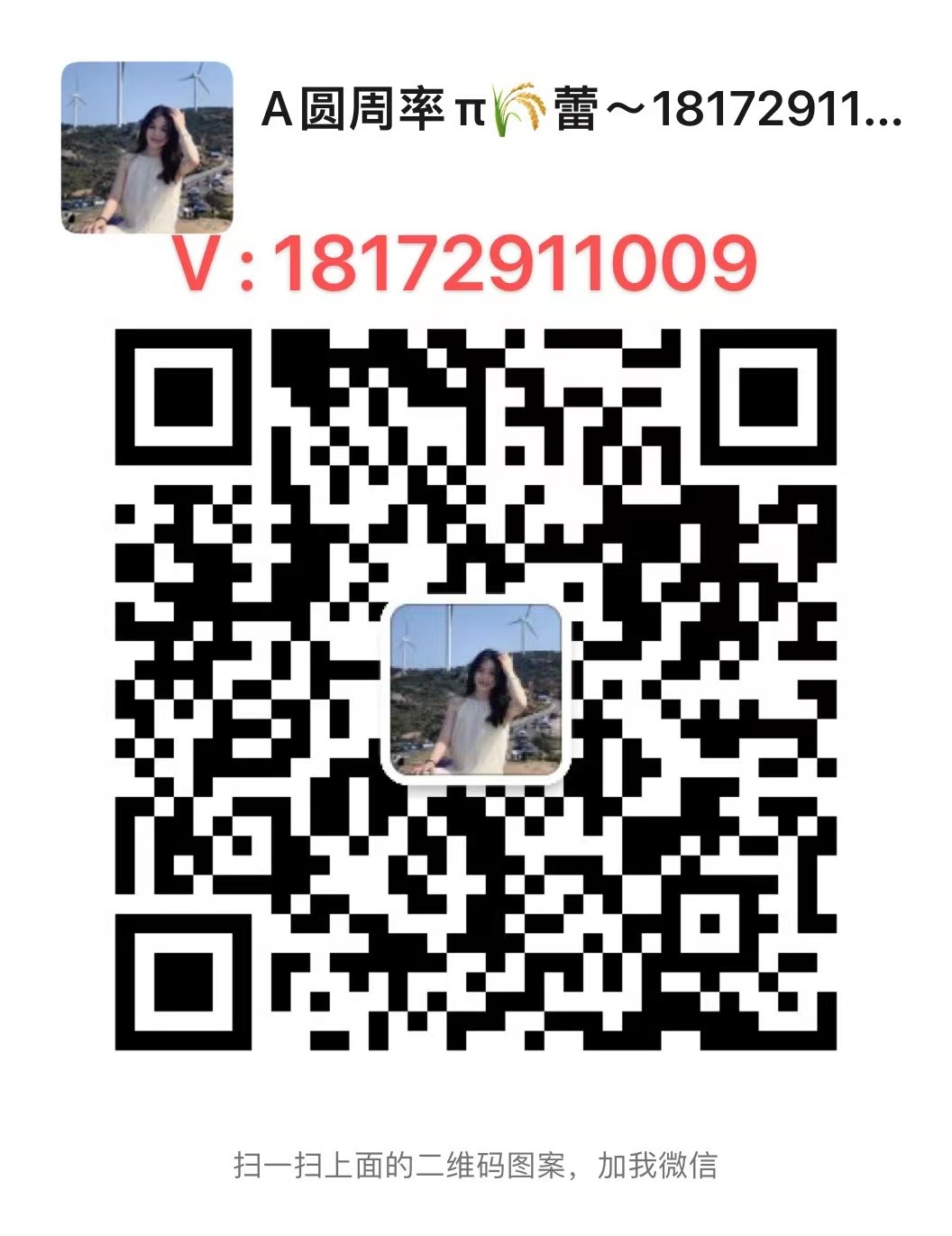 阿瓦隆A15Pro_221T  全新现货秒发